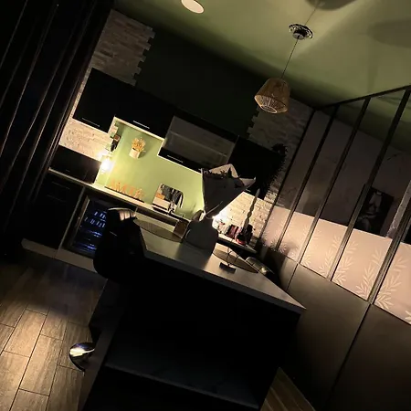 Cosy Jacuzzi Parking Privee * 佩皮尼昂