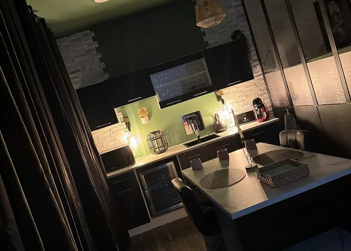 Cosy Jacuzzi Parking Privee 公寓 佩皮尼昂