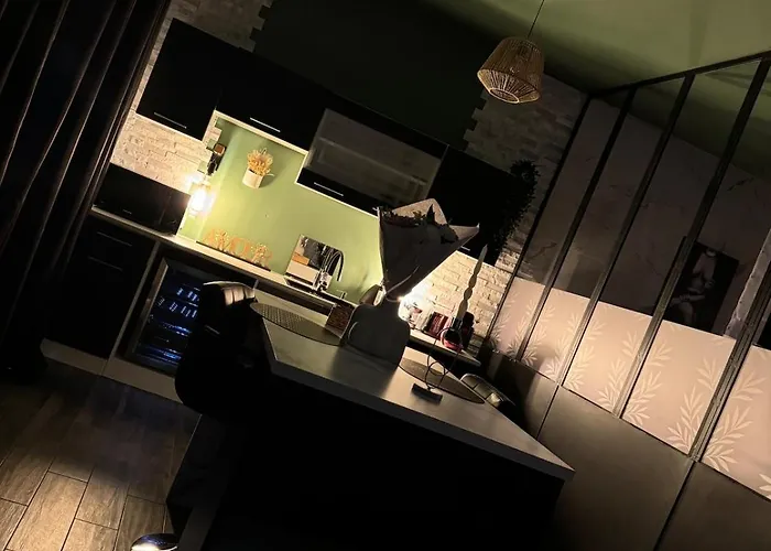 Cosy Jacuzzi Parking Privee * 佩皮尼昂